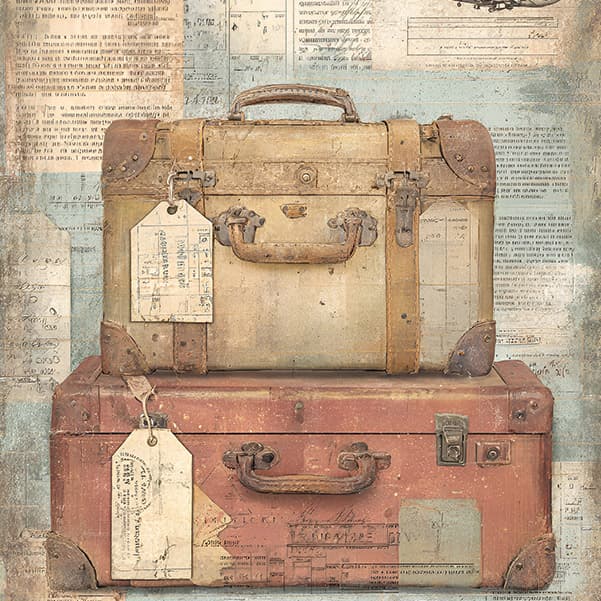 vintage travel bags